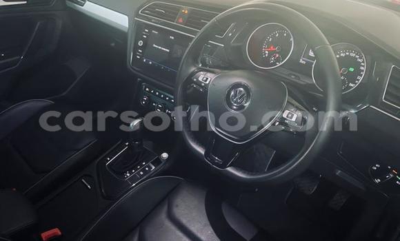 اشتري مستعمل Volkswagen Tiguan Green سيارة في Maseru في Maseru اشتري مستعمل Volkswagen Tiguan Green سيارة في Maseru في Maseru