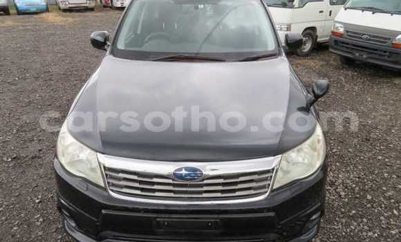 Sayi Na hannu Subaru Forester Black Mota in Maputsoe a Leribe