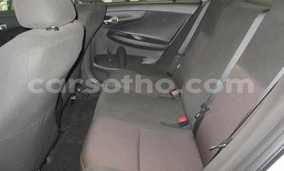 Acheter Occasion Voiture Toyota Corolla Blanc à Maseru, Maseru Acheter Occasion Voiture Toyota Corolla Blanc à Maseru, Maseru