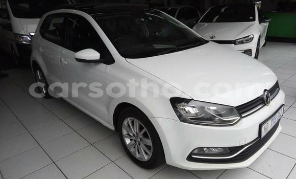 Acheter Occasion Voiture Volkswagen Polo Blanc à Thaba–Tseka, Mafeteng Acheter Occasion Voiture Volkswagen Polo Blanc à Thaba–Tseka, Mafeteng
