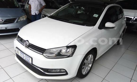 Acheter Occasion Voiture Volkswagen Polo Blanc à Thaba–Tseka, Mafeteng Acheter Occasion Voiture Volkswagen Polo Blanc à Thaba–Tseka, Mafeteng