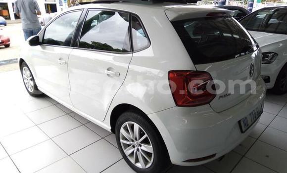Acheter Occasion Voiture Volkswagen Polo Blanc à Thaba–Tseka, Mafeteng Acheter Occasion Voiture Volkswagen Polo Blanc à Thaba–Tseka, Mafeteng