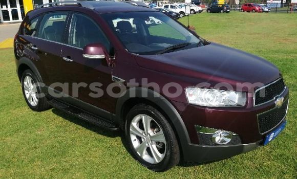 اشتري مستعمل Chevrolet Captiva Other سيارة في Butha–Buthe في Thaba-Tseka اشتري مستعمل Chevrolet Captiva Other سيارة في Butha–Buthe في Thaba-Tseka