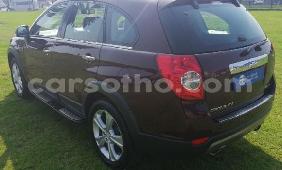 اشتري مستعمل Chevrolet Captiva Other سيارة في Butha–Buthe في Thaba-Tseka اشتري مستعمل Chevrolet Captiva Other سيارة في Butha–Buthe في Thaba-Tseka