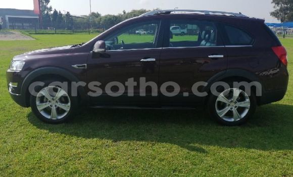 اشتري مستعمل Chevrolet Captiva Other سيارة في Butha–Buthe في Thaba-Tseka اشتري مستعمل Chevrolet Captiva Other سيارة في Butha–Buthe في Thaba-Tseka
