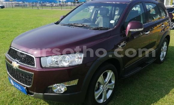 اشتري مستعمل Chevrolet Captiva Other سيارة في Butha–Buthe في Thaba-Tseka اشتري مستعمل Chevrolet Captiva Other سيارة في Butha–Buthe في Thaba-Tseka