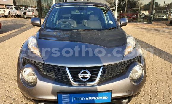 اشتري مستعمل Nissan Juke Other سيارة في Maseru في Maseru اشتري مستعمل Nissan Juke Other سيارة في Maseru في Maseru