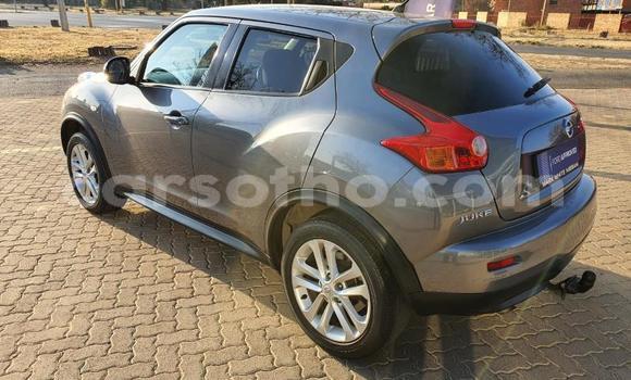 اشتري مستعمل Nissan Juke Other سيارة في Maseru في Maseru اشتري مستعمل Nissan Juke Other سيارة في Maseru في Maseru