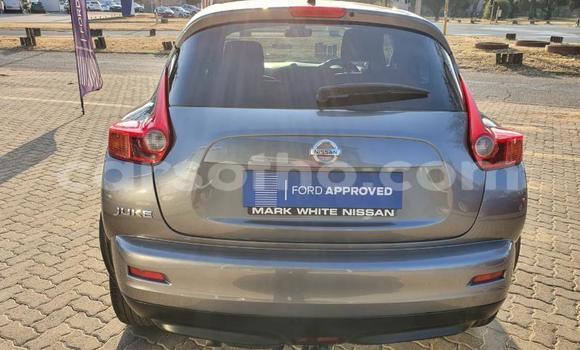 اشتري مستعمل Nissan Juke Other سيارة في Maseru في Maseru اشتري مستعمل Nissan Juke Other سيارة في Maseru في Maseru
