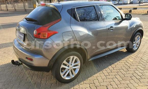 اشتري مستعمل Nissan Juke Other سيارة في Maseru في Maseru اشتري مستعمل Nissan Juke Other سيارة في Maseru في Maseru
