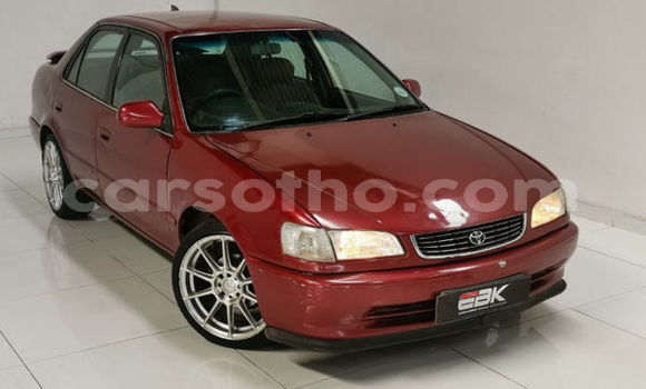 Acheter Occasion Voiture Toyota Corolla Marron à Maputsoa, Leribe Acheter Occasion Voiture Toyota Corolla Marron à Maputsoa, Leribe