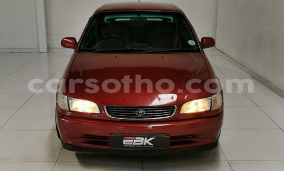 Acheter Occasion Voiture Toyota Corolla Marron à Maputsoa, Leribe Acheter Occasion Voiture Toyota Corolla Marron à Maputsoa, Leribe