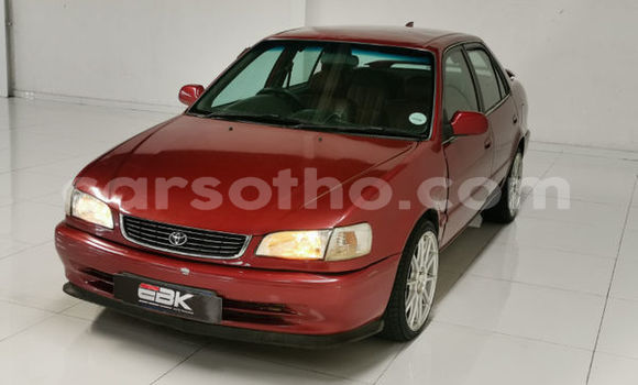 Acheter Occasion Voiture Toyota Corolla Marron à Maputsoa, Leribe Acheter Occasion Voiture Toyota Corolla Marron à Maputsoa, Leribe