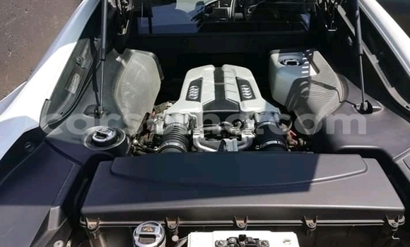 اشتري مستعمل Audi R8 White سيارة في Maseru في Maseru اشتري مستعمل Audi R8 White سيارة في Maseru في Maseru