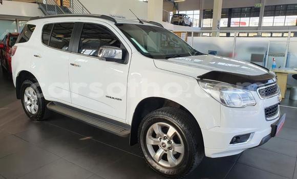 اشتري مستعمل Chevrolet TrailBlazer Other سيارة في Butha–Buthe في Thaba-Tseka اشتري مستعمل Chevrolet TrailBlazer Other سيارة في Butha–Buthe في Thaba-Tseka