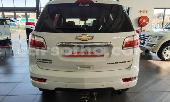 اشتري مستعمل Chevrolet TrailBlazer Other سيارة في Butha–Buthe في Thaba-Tseka اشتري مستعمل Chevrolet TrailBlazer Other سيارة في Butha–Buthe في Thaba-Tseka
