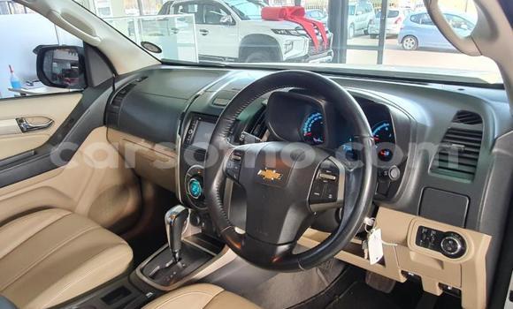 اشتري مستعمل Chevrolet TrailBlazer Other سيارة في Butha–Buthe في Thaba-Tseka اشتري مستعمل Chevrolet TrailBlazer Other سيارة في Butha–Buthe في Thaba-Tseka