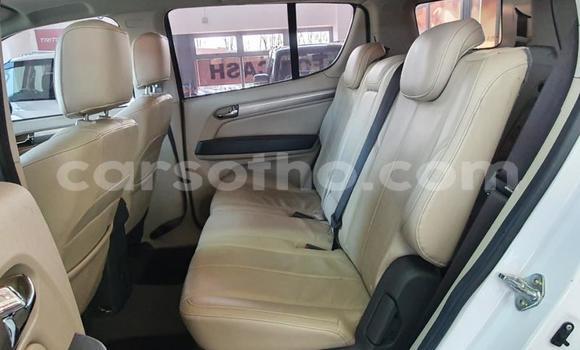 اشتري مستعمل Chevrolet TrailBlazer Other سيارة في Butha–Buthe في Thaba-Tseka اشتري مستعمل Chevrolet TrailBlazer Other سيارة في Butha–Buthe في Thaba-Tseka
