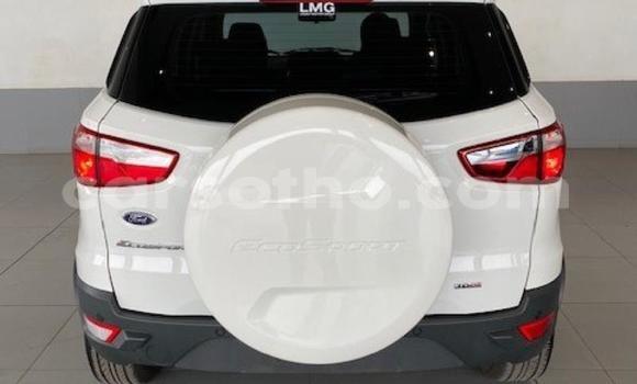اشتري مستعمل Ford EcoSport Green سيارة في Maseru في Maseru اشتري مستعمل Ford EcoSport Green سيارة في Maseru في Maseru