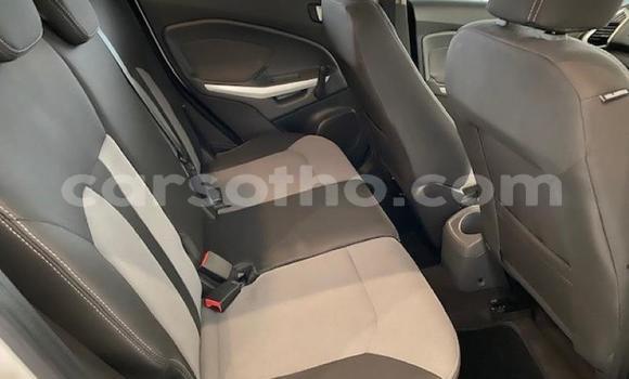 اشتري مستعمل Ford EcoSport Green سيارة في Maseru في Maseru اشتري مستعمل Ford EcoSport Green سيارة في Maseru في Maseru