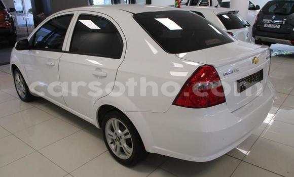 Acheter Occasion Voiture Chevrolet Aveo Vert à Maseru, Maseru Acheter Occasion Voiture Chevrolet Aveo Vert à Maseru, Maseru