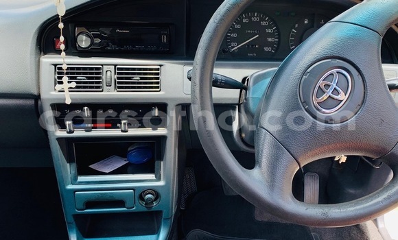 Buy Used Toyota Tacoma Silver Car in Maputsoa in Leribe Buy Used Toyota Tacoma Silver Car in Maputsoa in Leribe