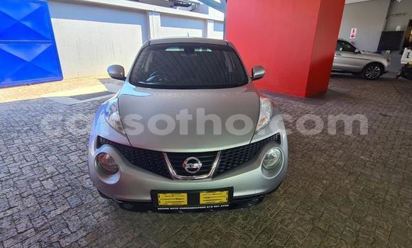 اشتري مستعمل Nissan Juke Green سيارة في Maseru في Maseru اشتري مستعمل Nissan Juke Green سيارة في Maseru في Maseru
