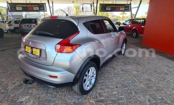 اشتري مستعمل Nissan Juke Green سيارة في Maseru في Maseru اشتري مستعمل Nissan Juke Green سيارة في Maseru في Maseru