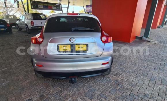 اشتري مستعمل Nissan Juke Green سيارة في Maseru في Maseru اشتري مستعمل Nissan Juke Green سيارة في Maseru في Maseru