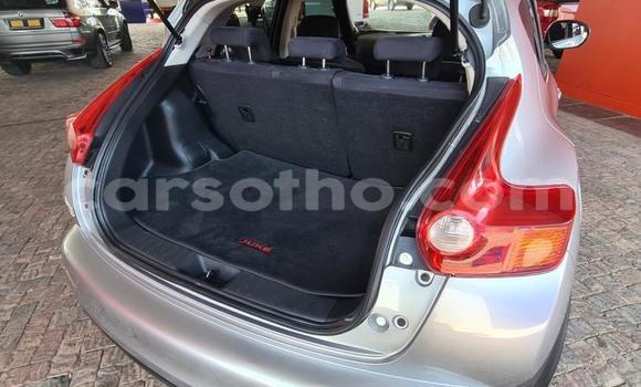 اشتري مستعمل Nissan Juke Green سيارة في Maseru في Maseru اشتري مستعمل Nissan Juke Green سيارة في Maseru في Maseru
