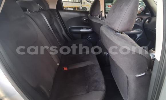 اشتري مستعمل Nissan Juke Green سيارة في Maseru في Maseru اشتري مستعمل Nissan Juke Green سيارة في Maseru في Maseru