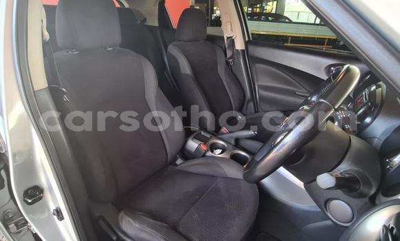 اشتري مستعمل Nissan Juke Green سيارة في Maseru في Maseru اشتري مستعمل Nissan Juke Green سيارة في Maseru في Maseru