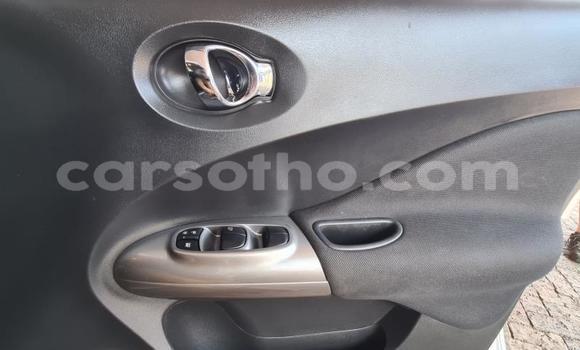 اشتري مستعمل Nissan Juke Green سيارة في Maseru في Maseru اشتري مستعمل Nissan Juke Green سيارة في Maseru في Maseru