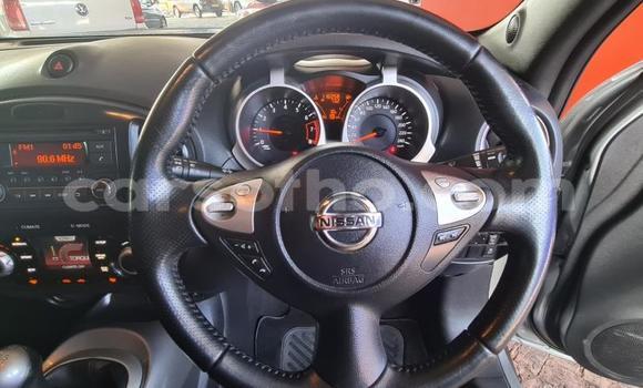 اشتري مستعمل Nissan Juke Green سيارة في Maseru في Maseru اشتري مستعمل Nissan Juke Green سيارة في Maseru في Maseru