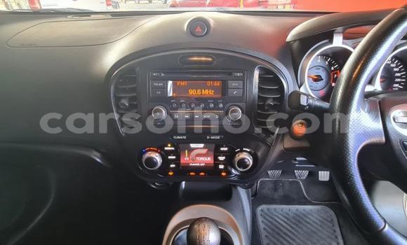اشتري مستعمل Nissan Juke Green سيارة في Maseru في Maseru اشتري مستعمل Nissan Juke Green سيارة في Maseru في Maseru