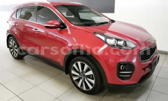 Buy Used Kia Sportage Red Car in Maseru in Maseru Buy Used Kia Sportage Red Car in Maseru in Maseru