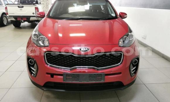 Buy Used Kia Sportage Red Car in Maseru in Maseru Buy Used Kia Sportage Red Car in Maseru in Maseru