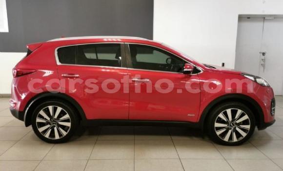 Buy Used Kia Sportage Red Car in Maseru in Maseru Buy Used Kia Sportage Red Car in Maseru in Maseru