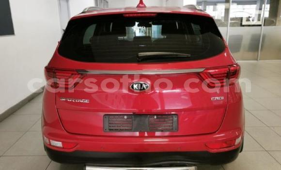 Buy Used Kia Sportage Red Car in Maseru in Maseru Buy Used Kia Sportage Red Car in Maseru in Maseru
