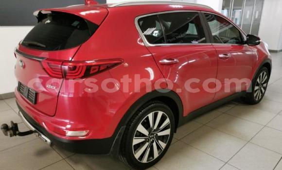 Buy Used Kia Sportage Red Car in Maseru in Maseru Buy Used Kia Sportage Red Car in Maseru in Maseru