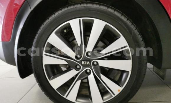 Buy Used Kia Sportage Red Car in Maseru in Maseru Buy Used Kia Sportage Red Car in Maseru in Maseru