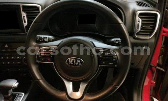 Buy Used Kia Sportage Red Car in Maseru in Maseru Buy Used Kia Sportage Red Car in Maseru in Maseru