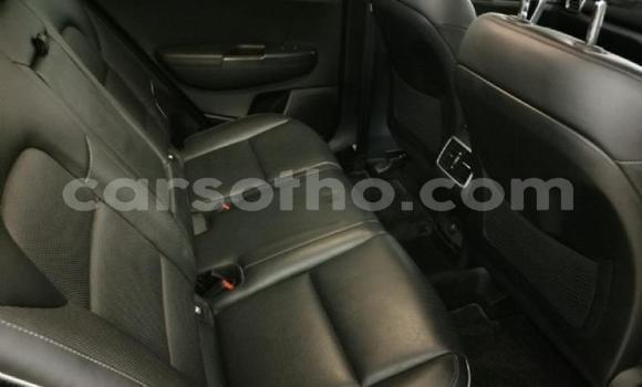 Buy Used Kia Sportage Red Car in Maseru in Maseru Buy Used Kia Sportage Red Car in Maseru in Maseru