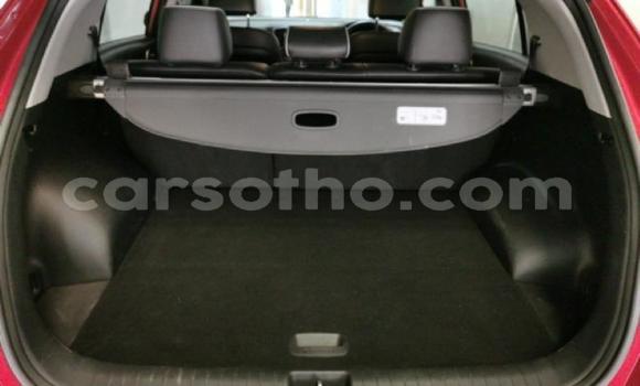Buy Used Kia Sportage Red Car in Maseru in Maseru Buy Used Kia Sportage Red Car in Maseru in Maseru
