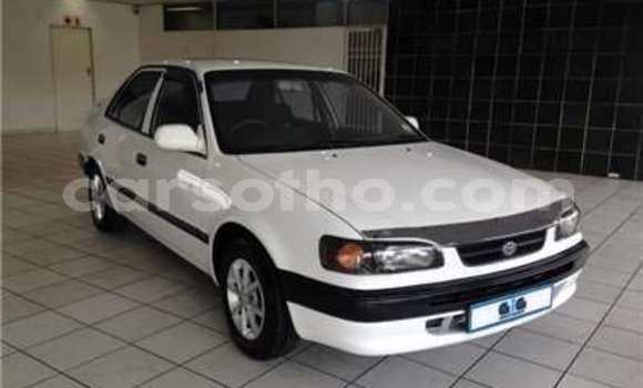 اشتري مستعمل Toyota Corolla White سيارة في Butha–Buthe في Thaba-Tseka اشتري مستعمل Toyota Corolla White سيارة في Butha–Buthe في Thaba-Tseka