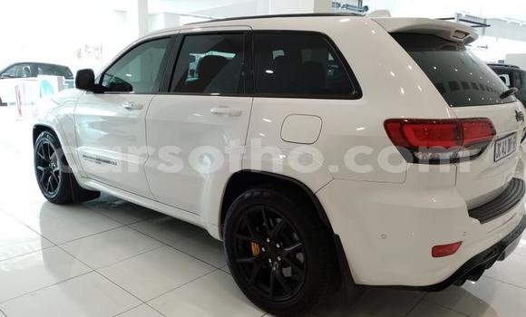 Buy Used Jeep Cherokee White Car in Maseru in Maseru Buy Used Jeep Cherokee White Car in Maseru in Maseru