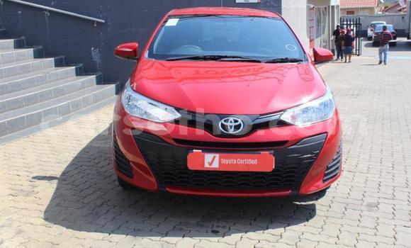 اشتري مستعمل Toyota Yaris White سيارة في Maseru في Maseru اشتري مستعمل Toyota Yaris White سيارة في Maseru في Maseru
