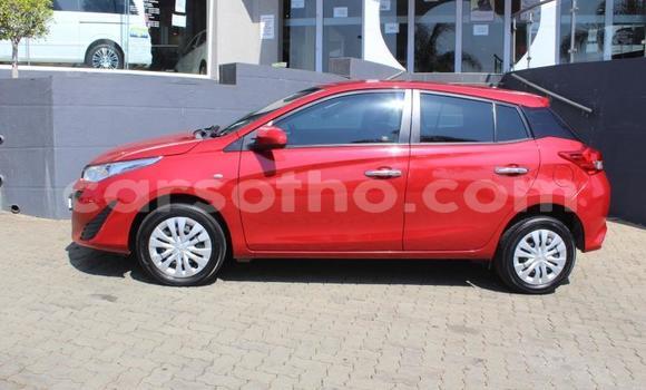 اشتري مستعمل Toyota Yaris White سيارة في Maseru في Maseru اشتري مستعمل Toyota Yaris White سيارة في Maseru في Maseru