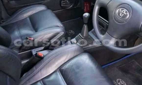 اشتري مستعمل Volkswagen Golf GTI Other سيارة في Maseru في Maseru اشتري مستعمل Volkswagen Golf GTI Other سيارة في Maseru في Maseru
