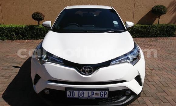 Acheter Occasion Voiture Toyota C-HR Blanc à Maseru, Maseru Acheter Occasion Voiture Toyota C-HR Blanc à Maseru, Maseru
